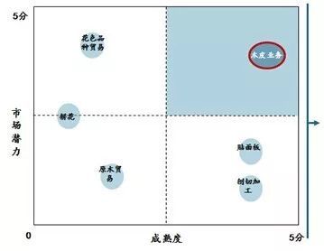 战略规划案例复盘:南方略工业品系统营销方案打造“木业典范,十亿中城”