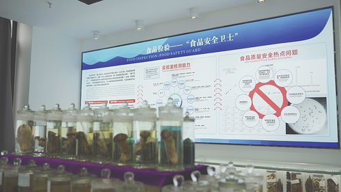 2023年检验检测促进经济社会创新发展优秀案例